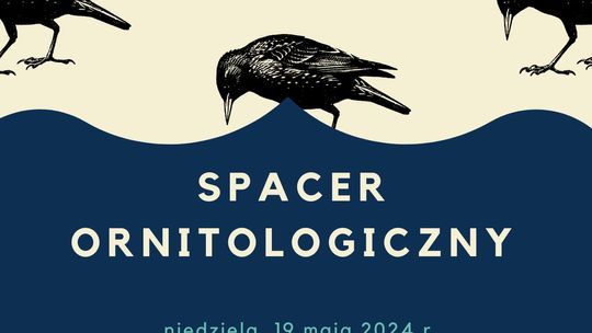 Spacer ornitologiczny w Gorlicach | zapowiedzi imprez – halogorlice.info