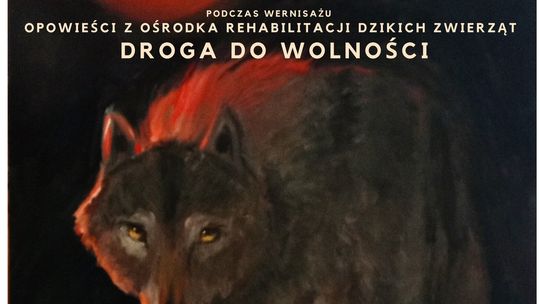 Wernisaż wystawy malarstwa na rzecz fundacji Dziki Projekt pt. Dzika Sztuka | halogorlice.info Plakat zapowiadający Wernisaż wystawy malarstwa na rzecz fundacji Dziki Projekt pt. Dzika Sztuka