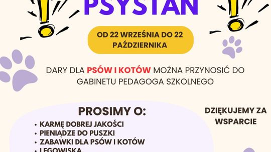 Zdjęcie przedstawia plakat promujący wydarzenie Zbiórka dla fundacji PSYSTAŃ