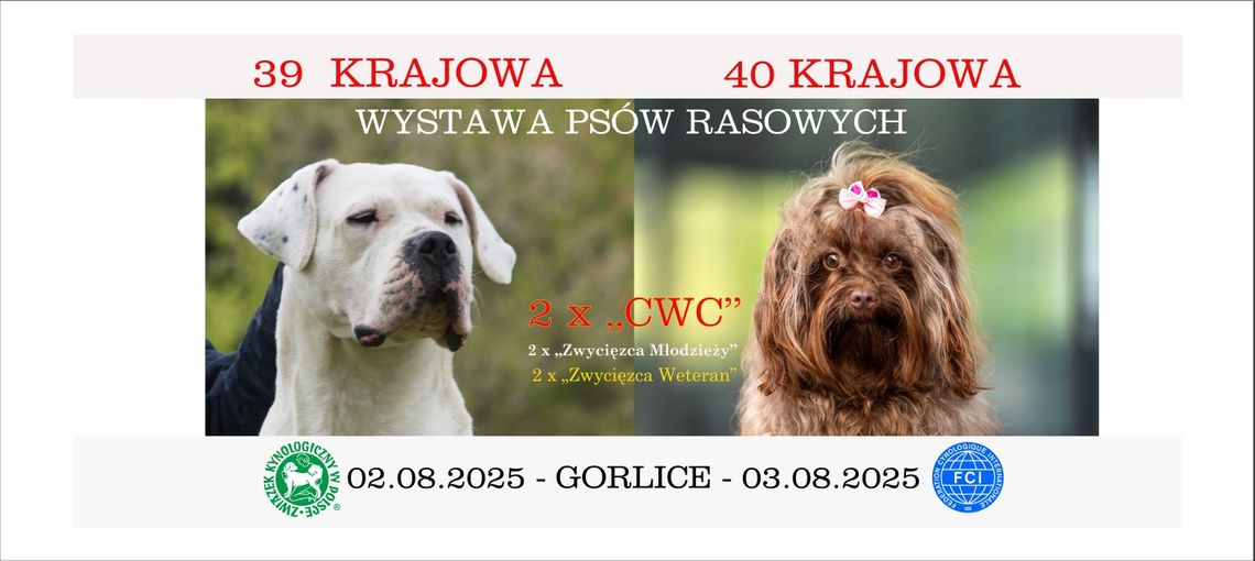 39. i 40. Krajowa Wystawa Psów Rasowych | halogorlice.info Plakat promujący wydarzenie Wystawa psów