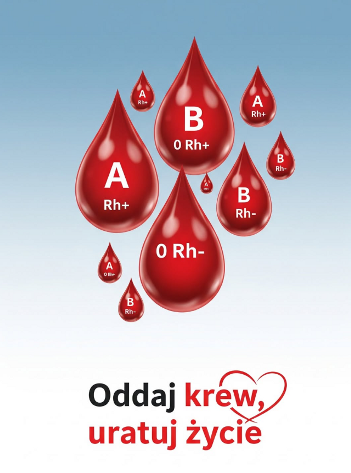 Zdjęcie przestawiające krwinki krwi oznaczone grupami.