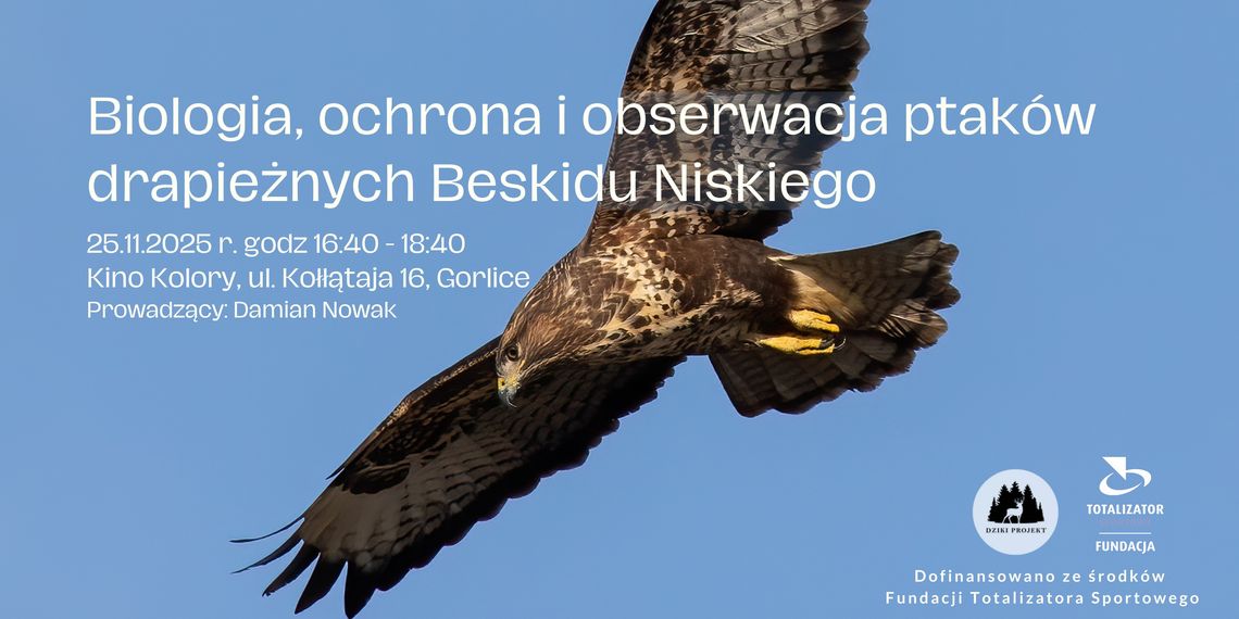 plakat zapowiadający wydarzenie pt. Prelekcja o ptakach drapieżnych Beskidu Niskiego