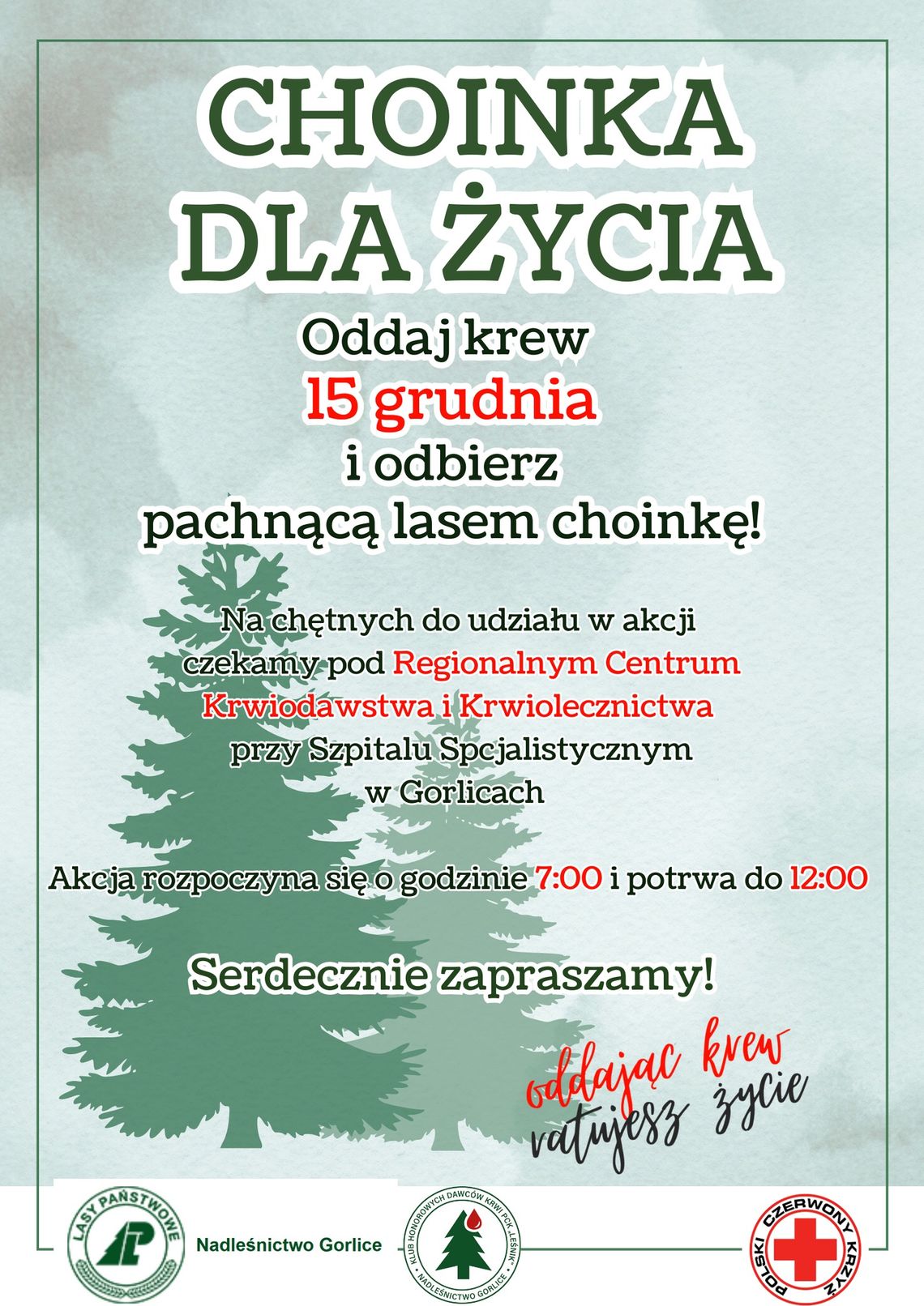 Choinka dla życia od Lasów Państwowych | halogorlice.info