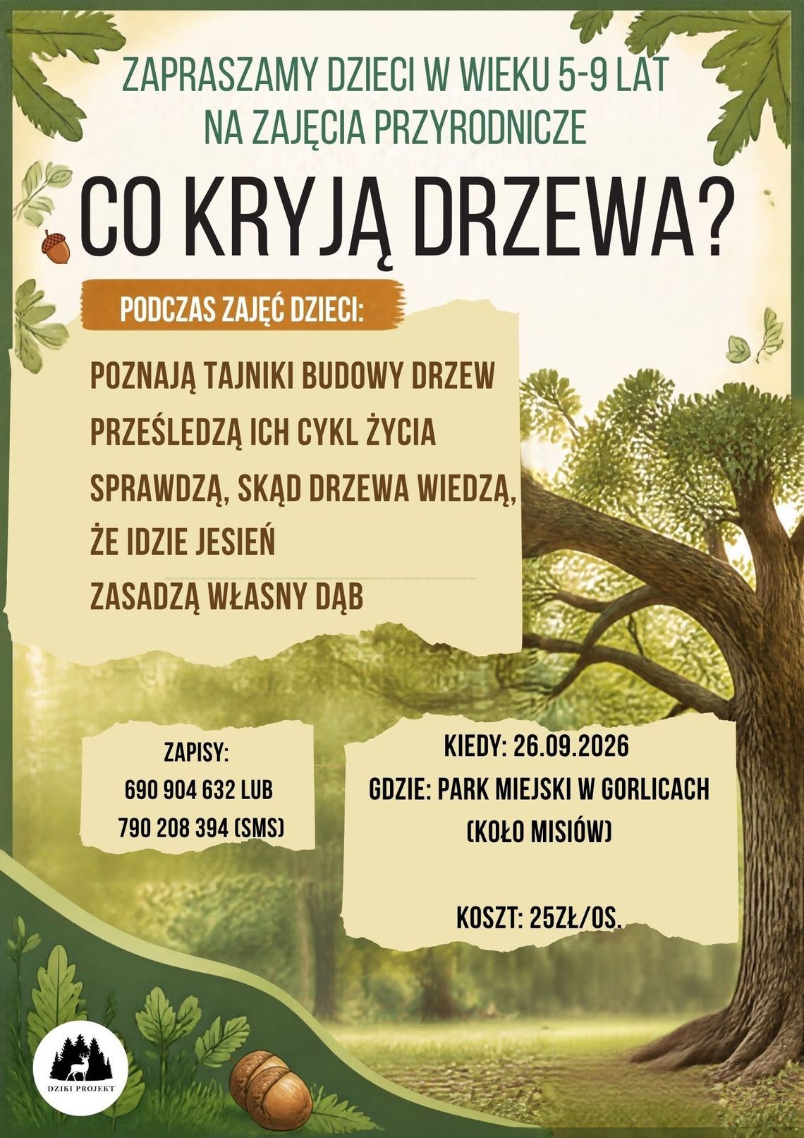 Co kryją drzewa? Zajęcia przyrodnicze dla dzieci | zapowiedzi wydarzeń - halogorlice.info