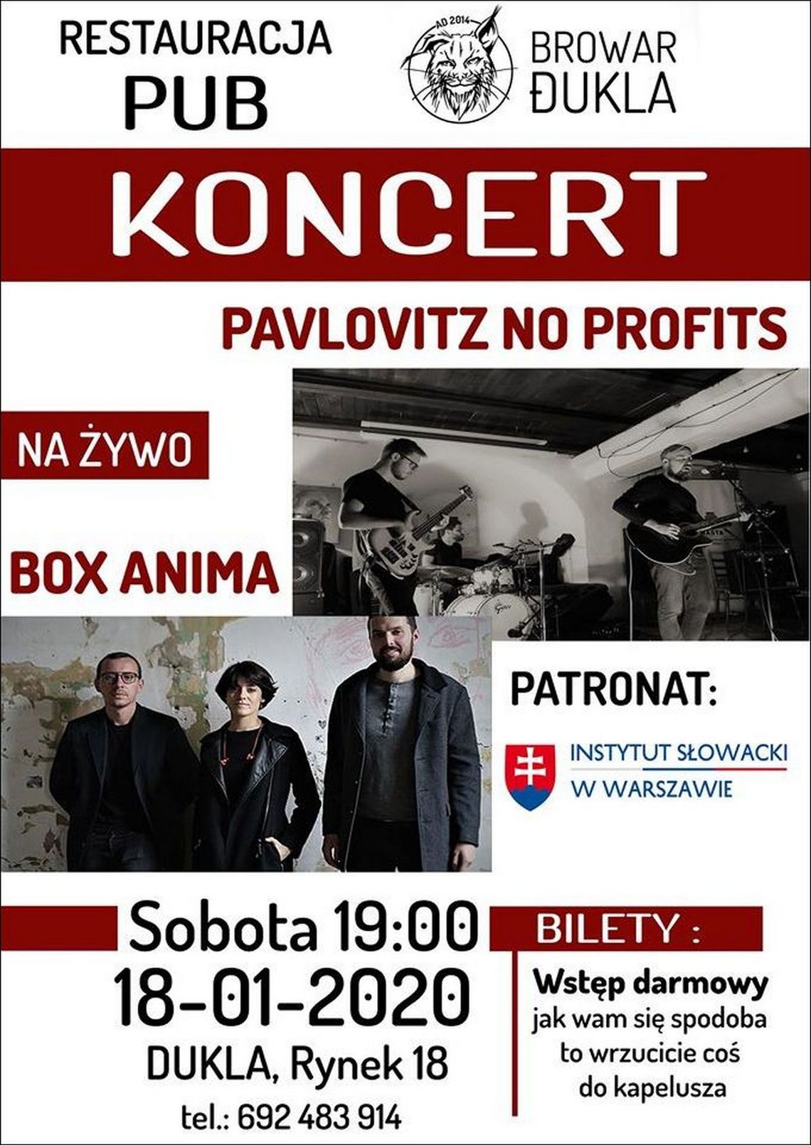 Koncert polsko-słowacki Pavlovitz No Profits