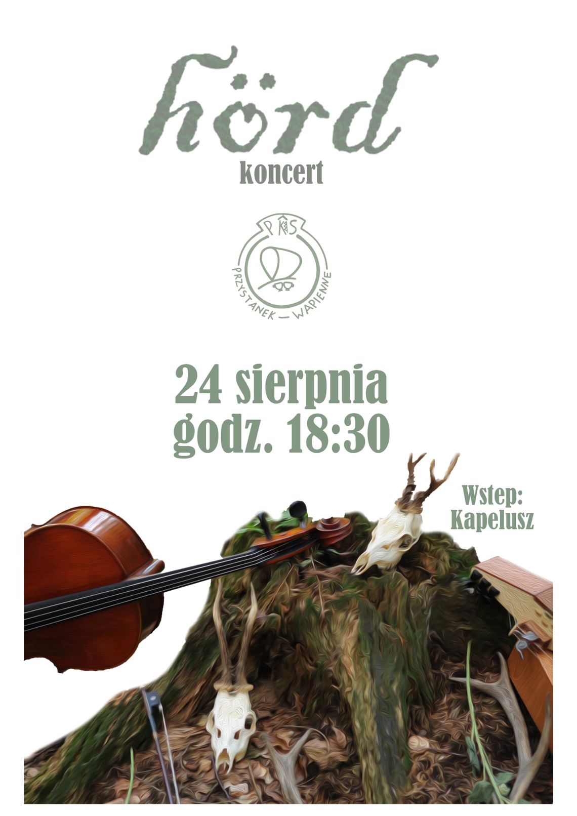 Zdjęcie przedstawia plakat promujący wydarzenie Koncert zespołu hörd