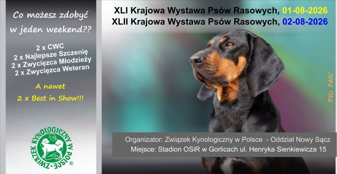 Krajowa Wystawa Psów Rasowych | zapowiedzi wydarzeń - halogorlice.info Zdjęcie przedstawia plakat zapowiadający wydarzenie - Krajowa Wystawa Psów Rasowych
