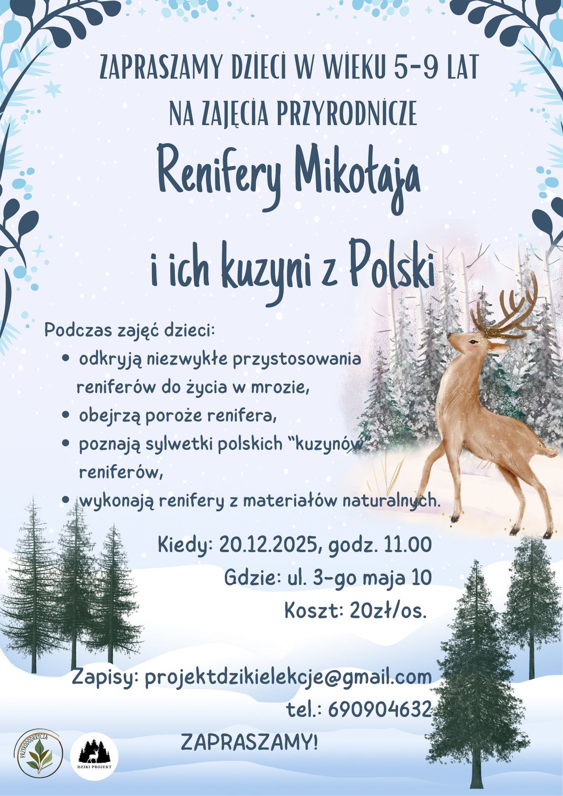 Plakat zapowiadający wydarzenie Renifery Mikołaja i ich kuzyni z Polski