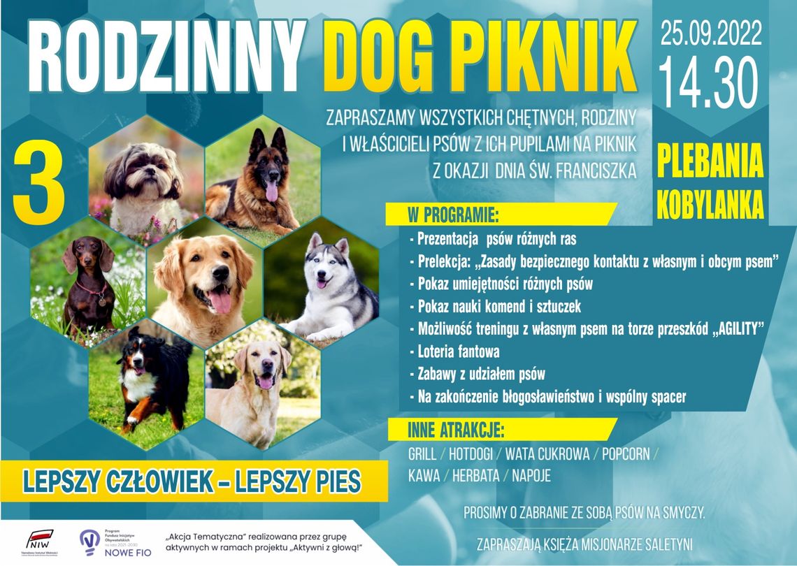 Rodzinny Dog Piknik w Kobylance | zapowiedzi imprez – halogorlice.info
