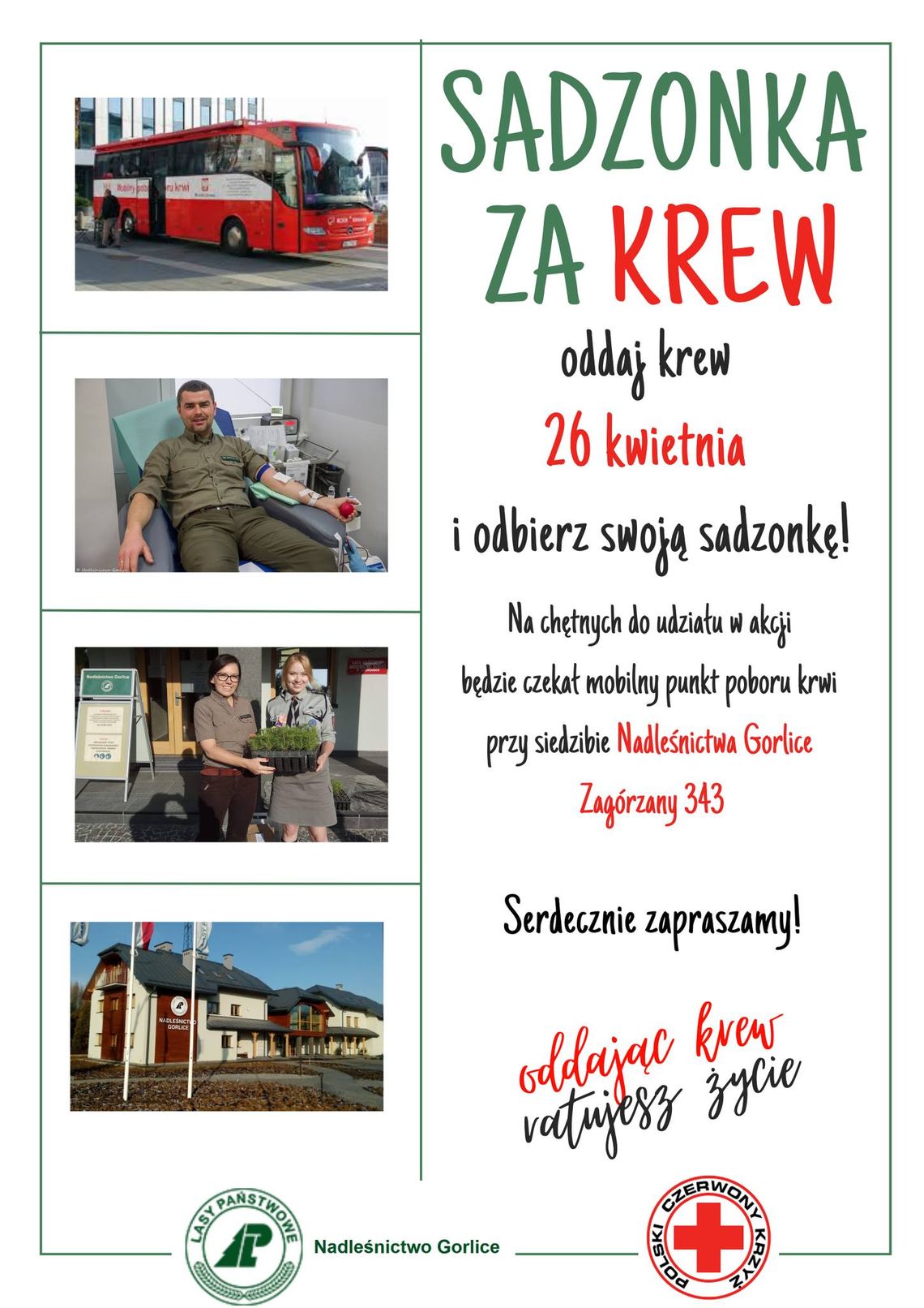 Sadzonka za krew – Nadleśnictwo Gorlice | halogorlice.info