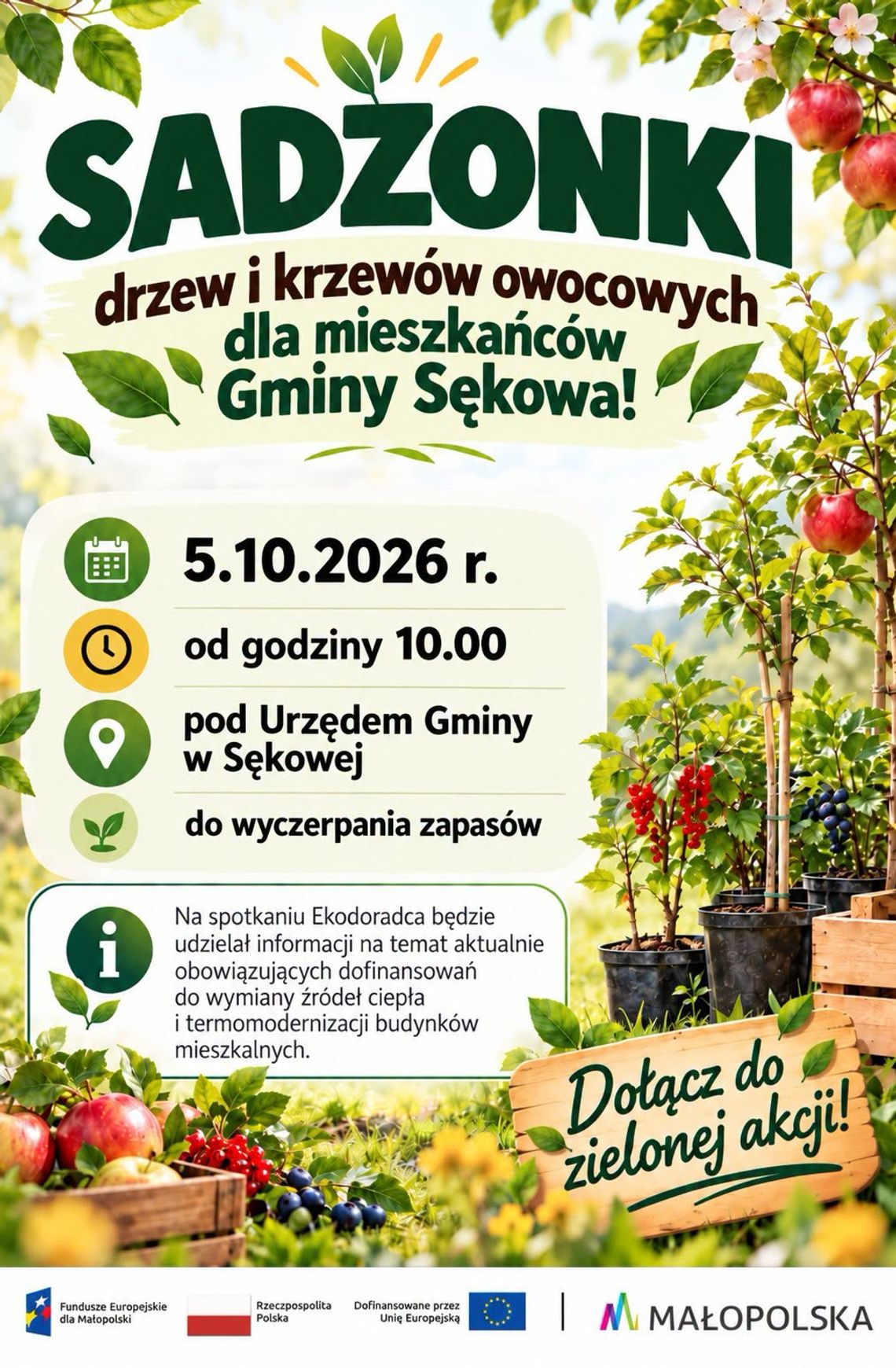 Sadzonki dla mieszkańców Sękowej | zapowiedzi wydarzeń - halogorlice.info Sadzonki dla mieszkańców Sękowej | zapowiedzi wydarzeń - halogorlice.info