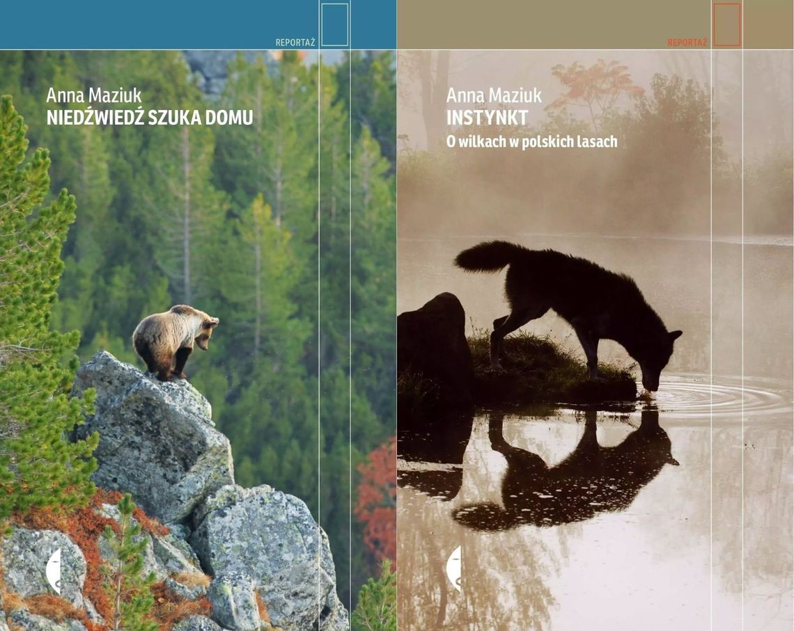 Zdjęcie przedstawia książki Anny Maziuk