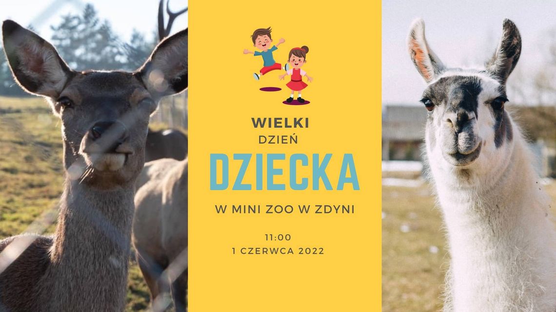 Wielki dzień dziecka w MINI ZOO w Zdyni | zapowiedzi imprez – halogorlice.info