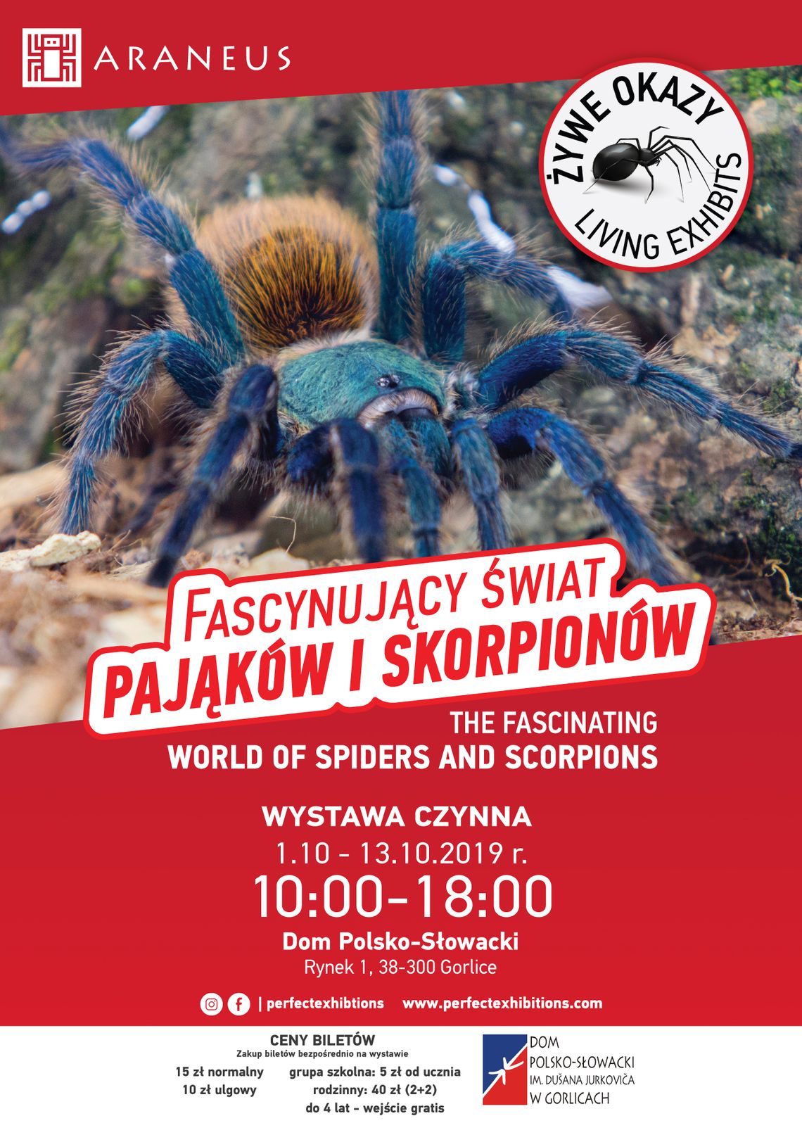 Wystawa „Fascynujący świat pająków i skorpionów”