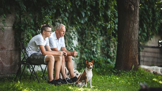 Do Gorlic zjechały psie piękności