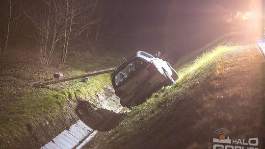 Toyota zakończyła jazdę w głębokiej fosie