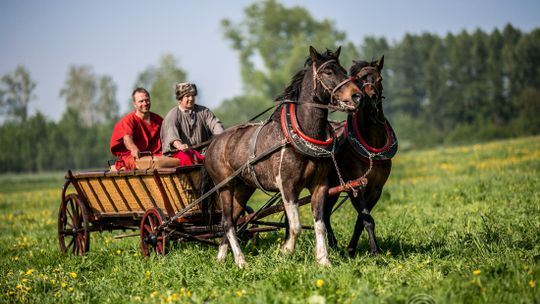 100 lat temu odzyskaliśmy wolność, trzy lata wcześniej tu o nią walczono.