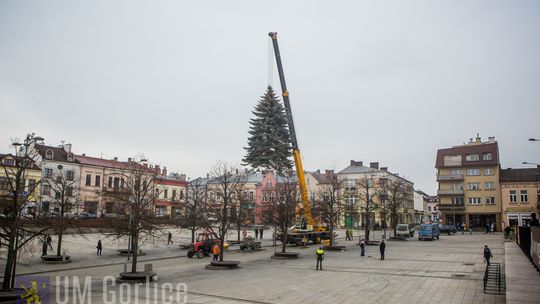 Już jest! Piękna i okazała!