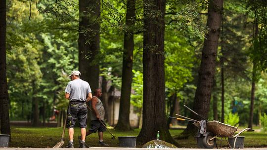 Park Miejski – bez fajerwerków, ale jest szansa, że będzie pięknie