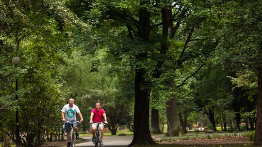 Park Miejski – bez fajerwerków, ale jest szansa, że będzie pięknie