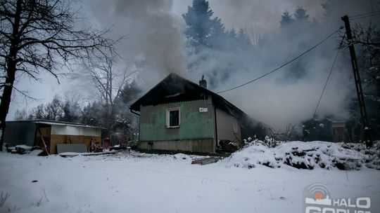 Spalił się dom w środku lasu, 5-osobowa rodzina bez dachu nad głową