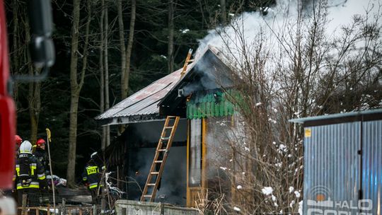 Spalił się dom w środku lasu, 5-osobowa rodzina bez dachu nad głową