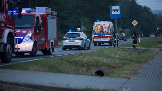 Dzikie zwierzę w starciu z maszyną. Oboje ucierpieli.