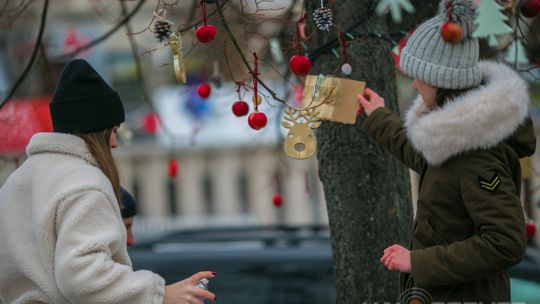 Gorlicki Rynek stroi się na święta [ZDJĘCIA]