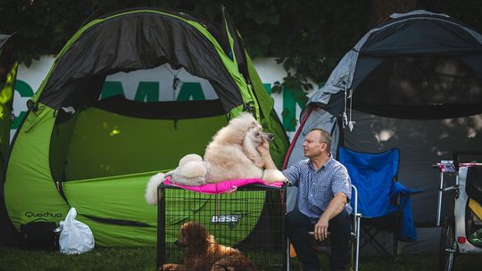 Do Gorlic zjechały psie piękności