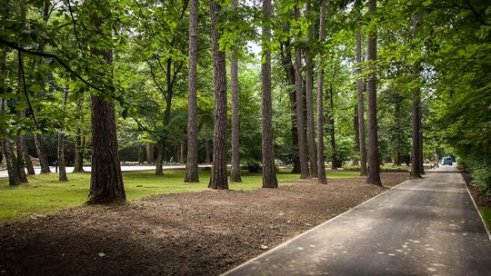 Park Miejski – bez fajerwerków, ale jest szansa, że będzie pięknie