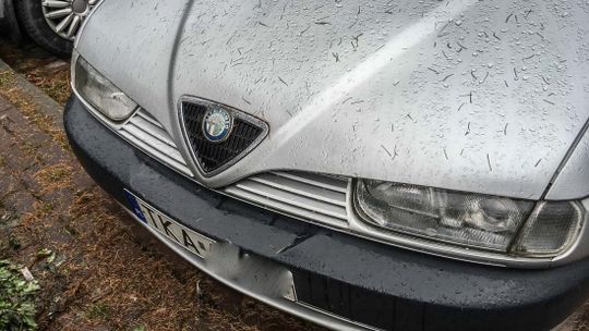 Stoi sobie na parkingu alfa romeo. Stoi już tak ze dwa miesiące.