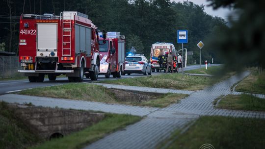 Dzikie zwierzę w starciu z maszyną. Oboje ucierpieli.