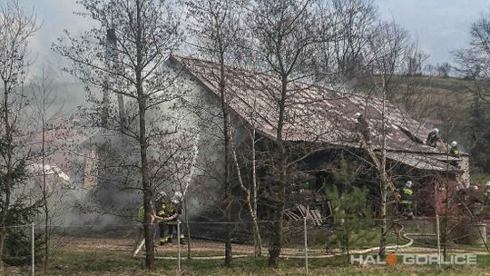 Zdynia: pożar zabudowań gospodarczych, potrzebna była ewakuacja