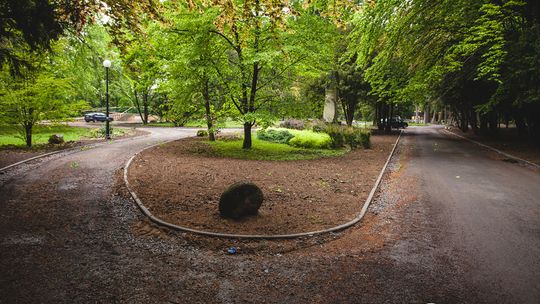 Odwiedziliśmy parkowy plac budowy. Efekty prac są już coraz widoczniejsze. Sami zobaczcie.