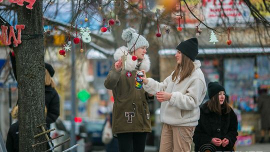 Gorlicki Rynek stroi się na święta [ZDJĘCIA]