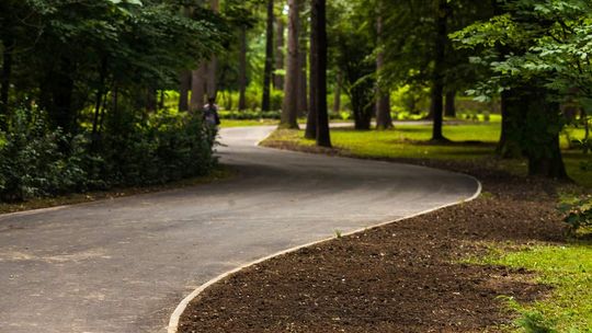 Park Miejski – bez fajerwerków, ale jest szansa, że będzie pięknie