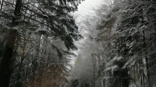 Pierwszy śnieg już spadł