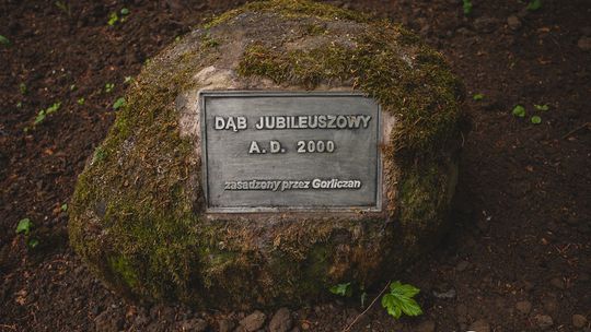 Odwiedziliśmy parkowy plac budowy. Efekty prac są już coraz widoczniejsze. Sami zobaczcie.