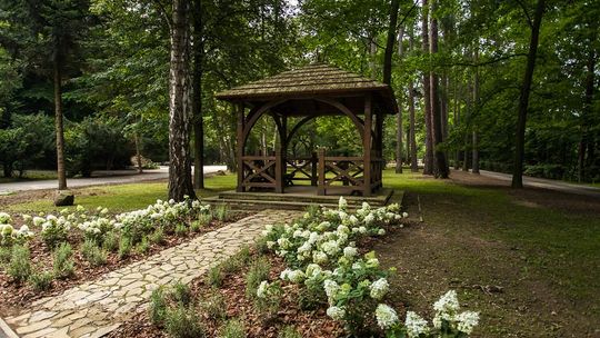 Park Miejski – bez fajerwerków, ale jest szansa, że będzie pięknie