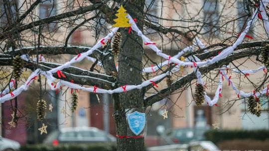 Gorlicki Rynek stroi się na święta [ZDJĘCIA]