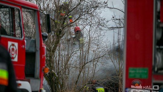 Spalił się dom w środku lasu, 5-osobowa rodzina bez dachu nad głową