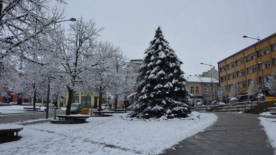 Niebawem rozbłysną! Trwa montaż świątecznych ozdób