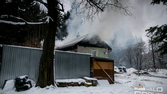 Spalił się dom w środku lasu, 5-osobowa rodzina bez dachu nad głową