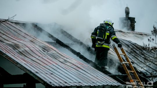 Spalił się dom w środku lasu, 5-osobowa rodzina bez dachu nad głową