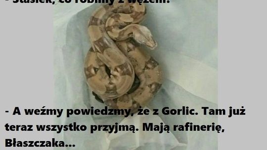 Z przymrużeniem oka - podsumowanie tygodnia