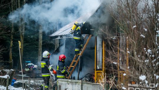 Spalił się dom w środku lasu, 5-osobowa rodzina bez dachu nad głową