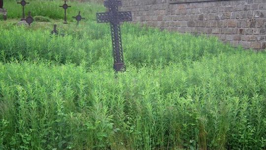 Uporządkowali dwa cmentarze wojenne w Ropicy Górnej