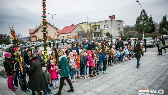 Która z palm była najwyższa?