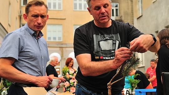 Aktywna niedziela, pokaz aikido i warsztaty bonsai