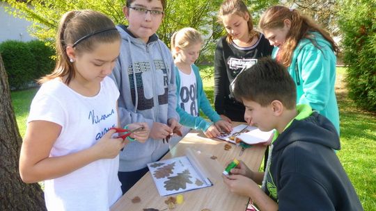 Zespół Szkół w Kobylance w międzynarodowym projekcie ERASMUS+ „Our landscape. Our Home. Our school!